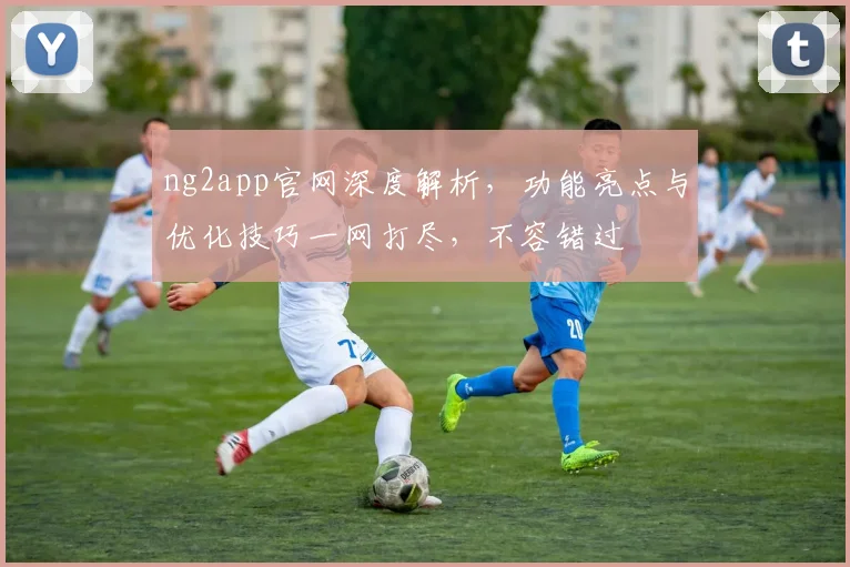 ng2app官网深度解析，功能亮点与优化技巧一网打尽，不容错过