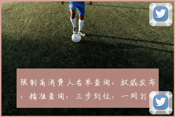 限制高消费人名单查询，权威发布，精准查询，三步到位，一网打尽