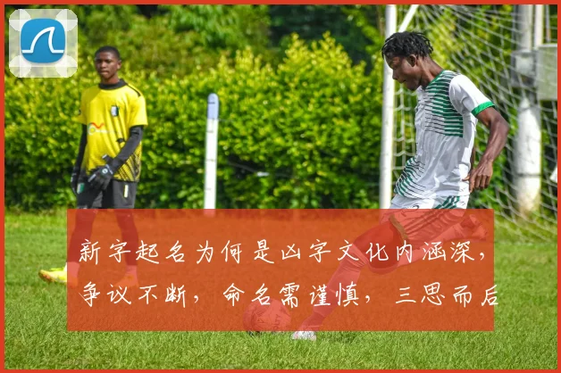 新字起名为何是凶字文化内涵深，争议不断，命名需谨慎，三思而后行。