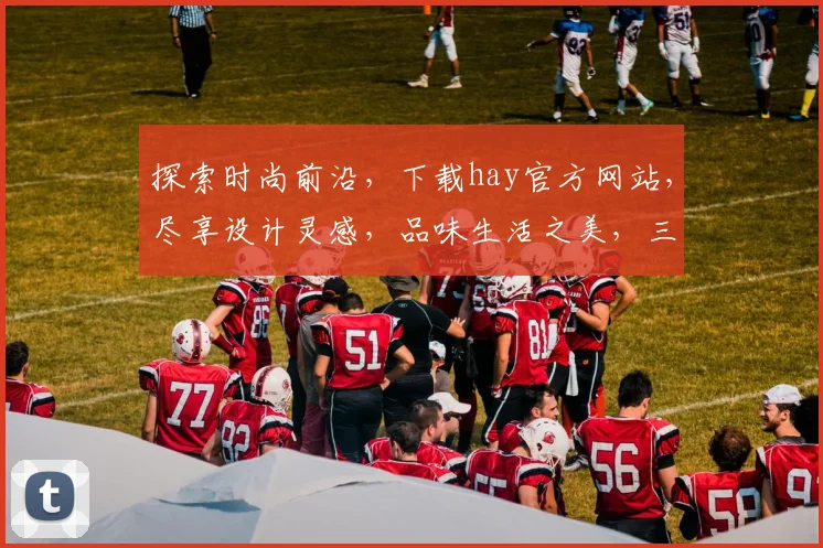 探索时尚前沿，下载hay官方网站，尽享设计灵感，品味生活之美，三步轻松入门